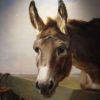 portrait d'âne oeuvre Daniel Trammer 60x90 Cm