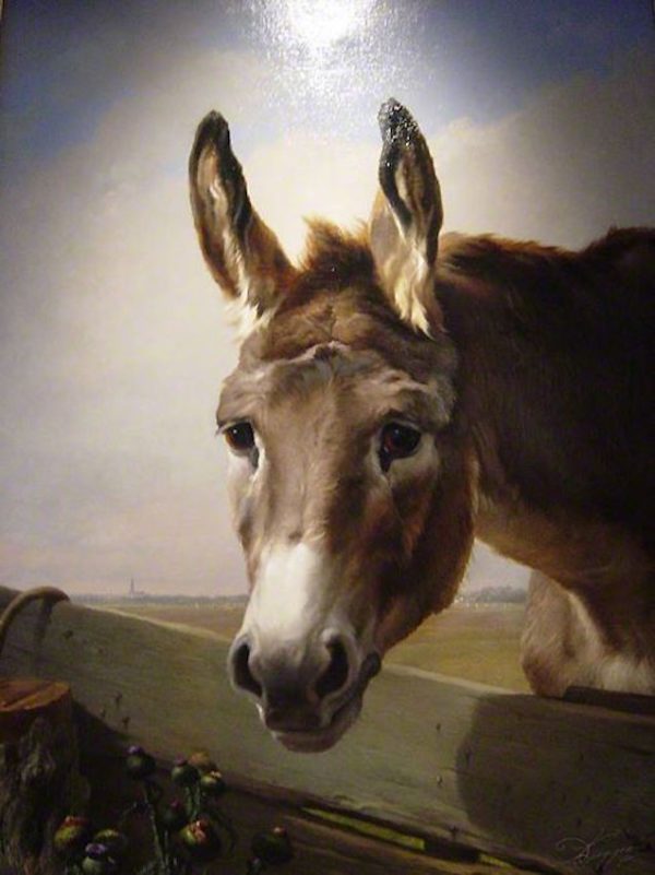 portrait d'âne oeuvre Daniel Trammer 60x90 Cm