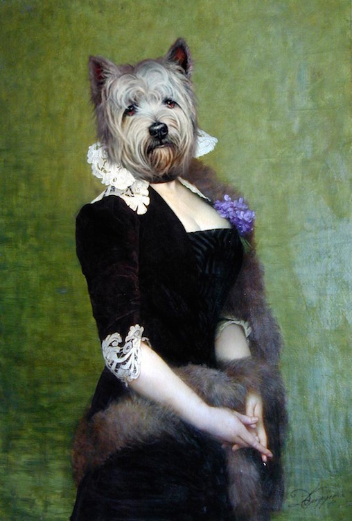 Portrait de chien Westie en baronne