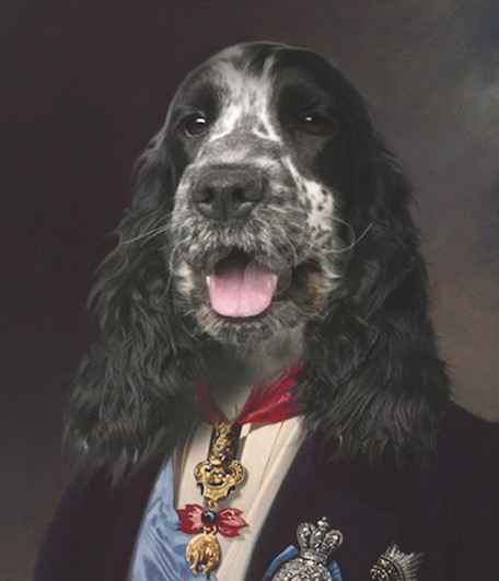 portrait de chien cocker oeuvre de Daniel Trammer