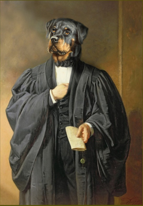 Portrait de Rottweiler en avocat oeuvre de Daniel Trammer