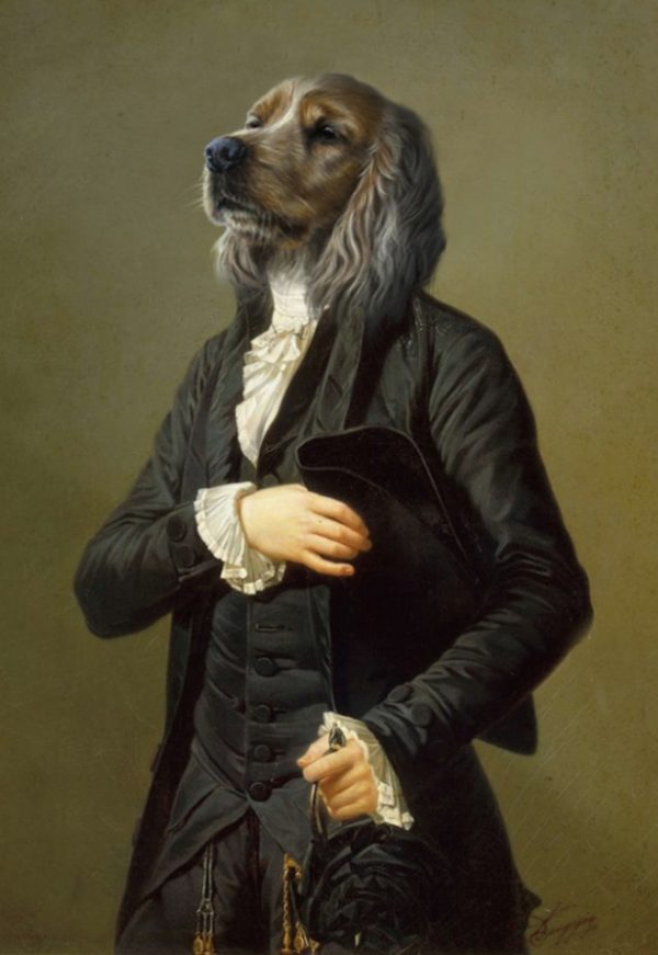 Portrait de tête de chien golden oeuvre de Daniel Trammer
