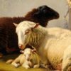 Moutons dans la bergerie oeuvre de Daniel Trammer